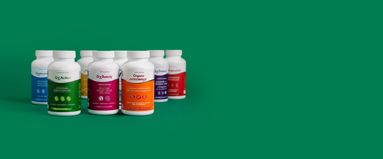 Silicium Laboratories Europe