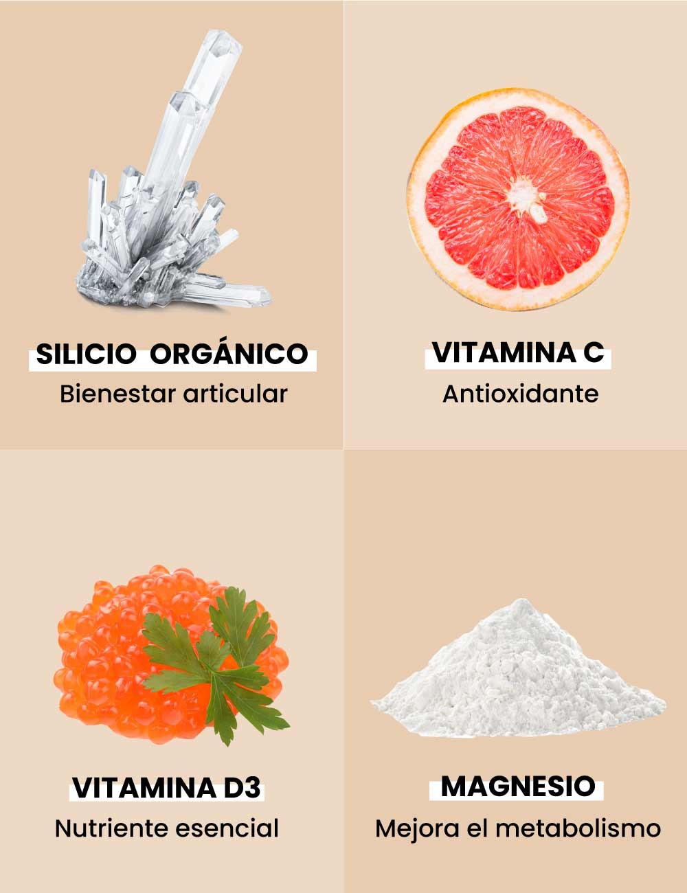 Orgono Articomplex