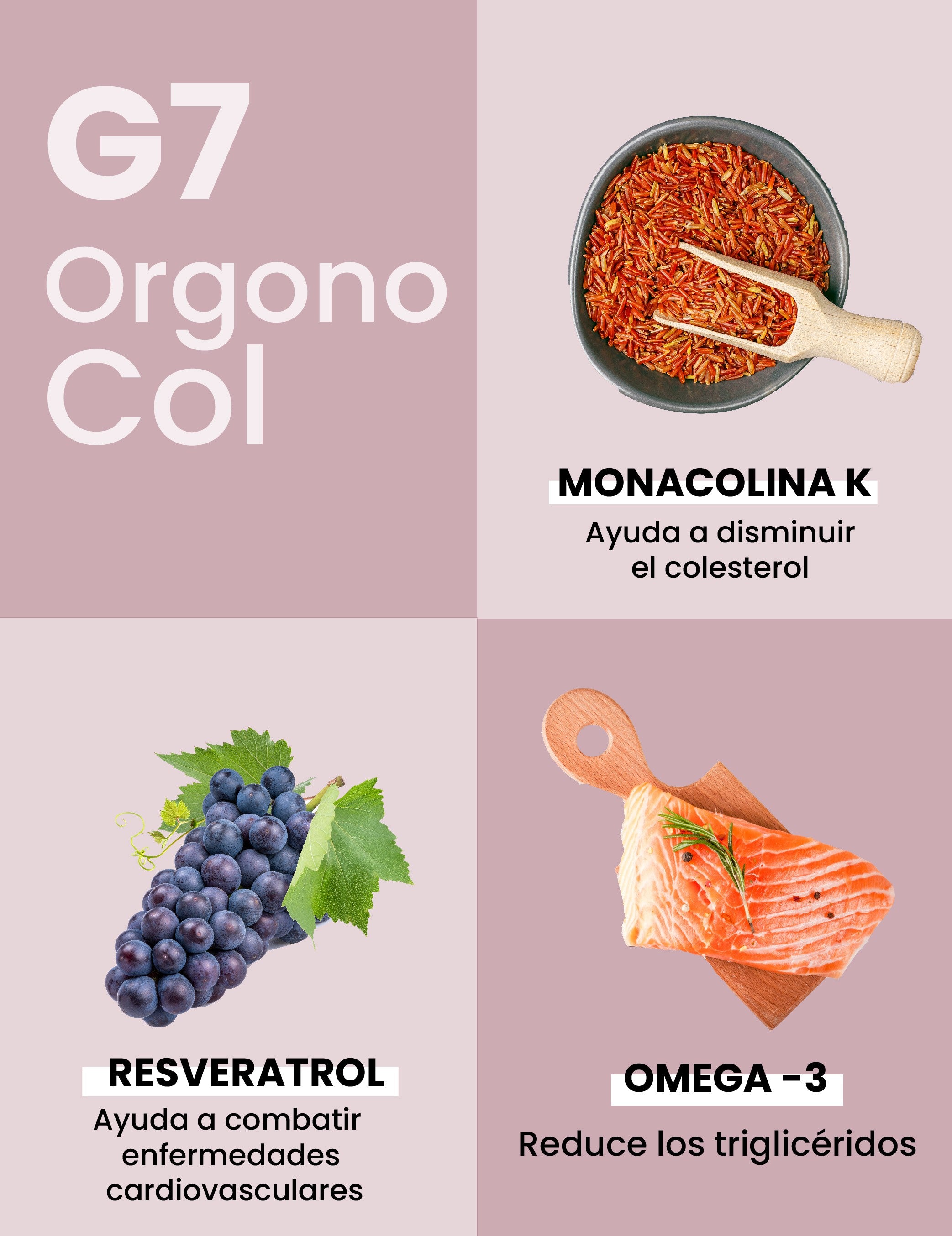 Silicium G7 OrgonoCol