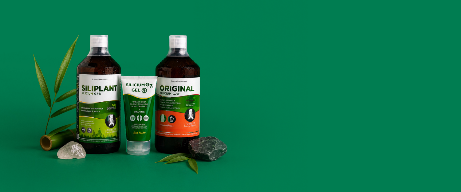 Silicium Laboratories Europe