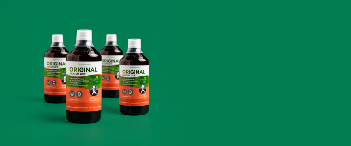 Silicium Laboratories Europe