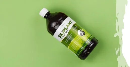 Silicium Laboratories Europe
