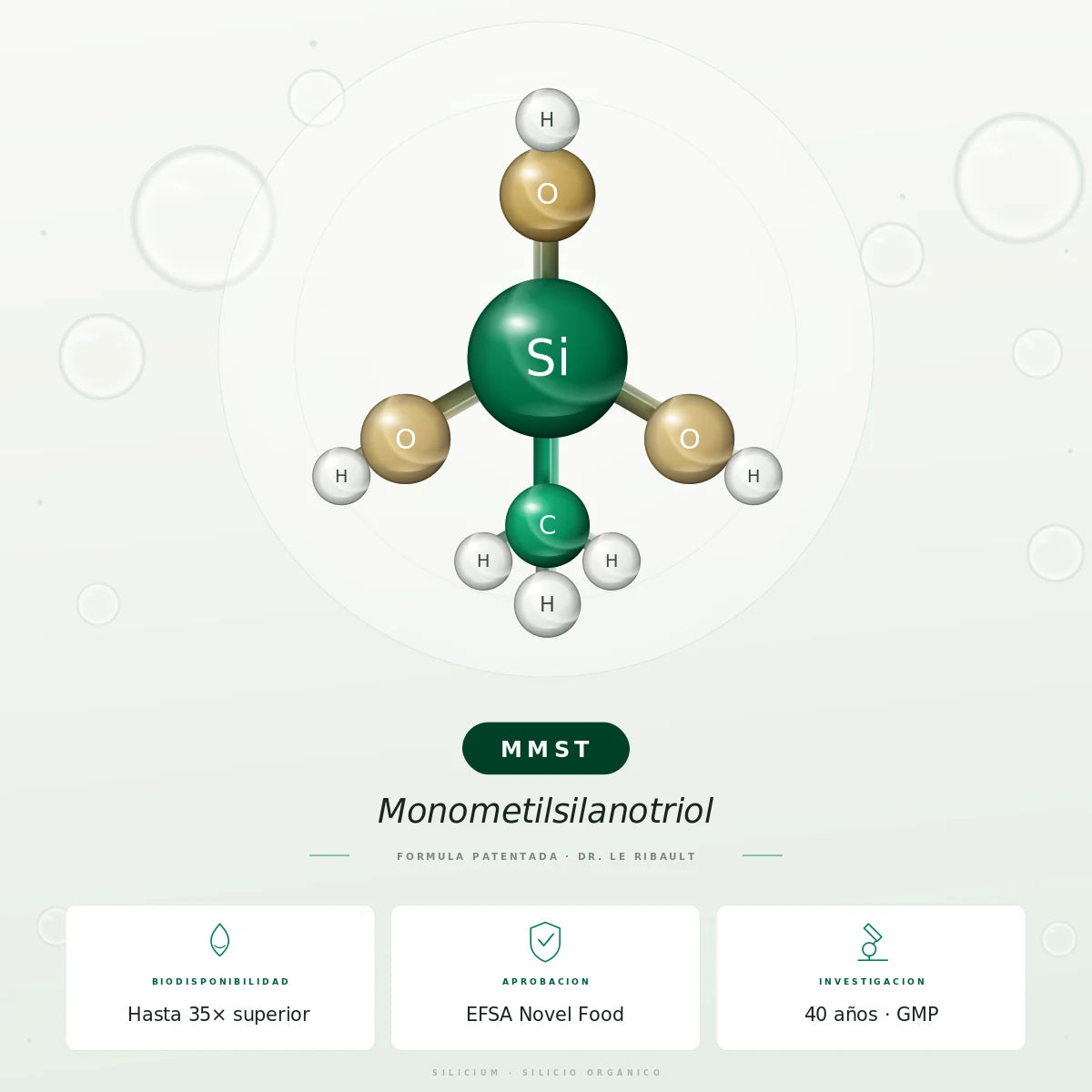 Silicium Laboratories Europe